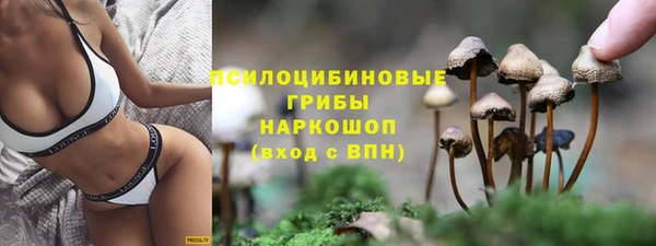 прущая мука Алексин