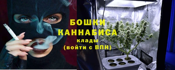2c-b Алзамай