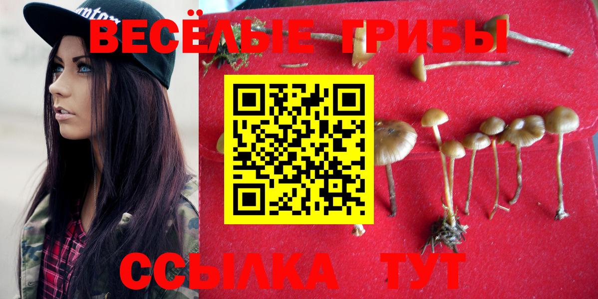 Галлюциногенные грибы ЛСД Домодедово