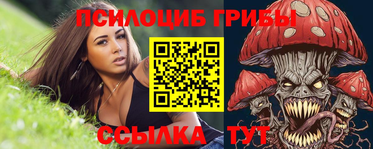 Домодедово  Псилоцибиновые грибы Cubensis  где купить   Вход с VPN  Псилоцибиновые грибы ЛСД 